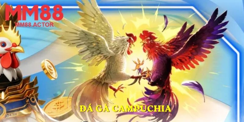 đá gà Campuchia