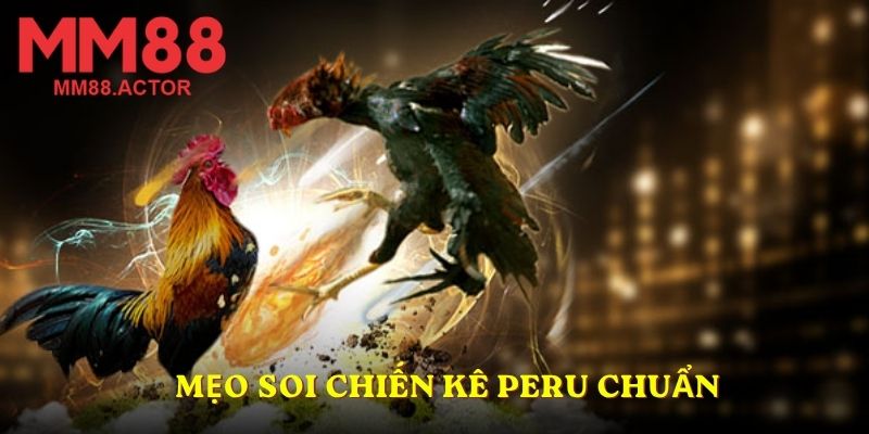 Mẹo soi chiến kê Peru chuẩn