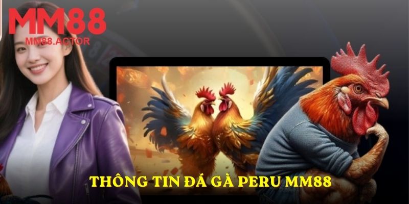 Thông tin đá gà Peru MM88