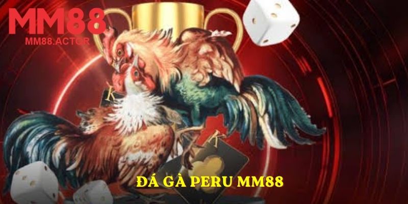 Đá gà Peru MM88