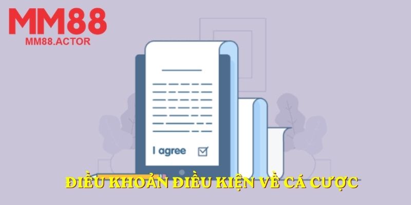 Điều khoản điều kiện về cá cược